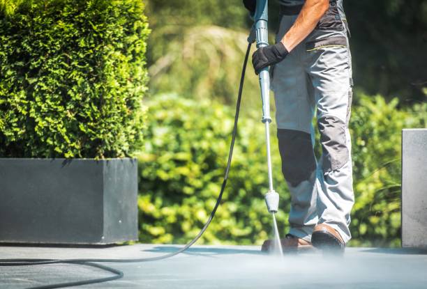 Best Winterizing Services  in Ames, TX