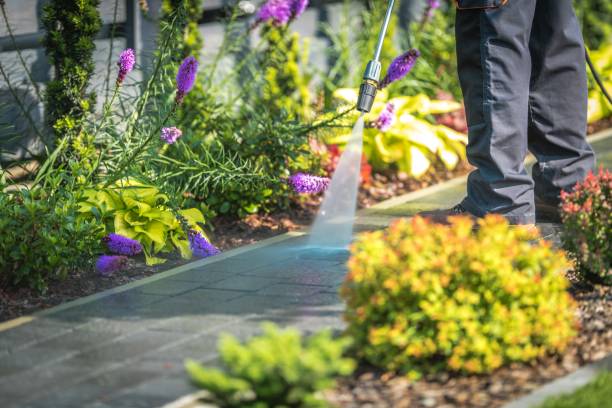 Best Driveway Pressure Washing  in Ames, TX