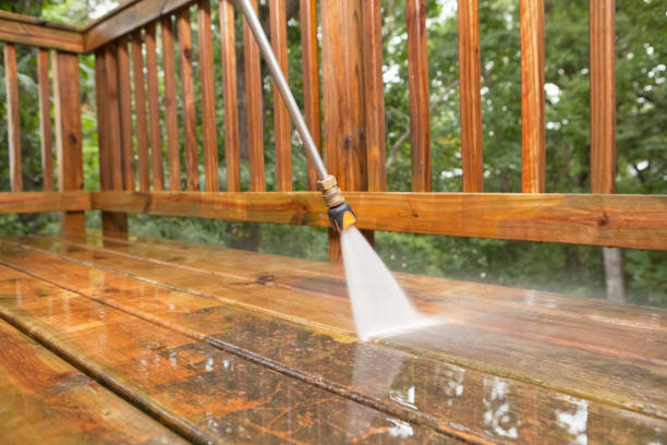 Best Pre-Holiday Cleaning  in Ames, TX